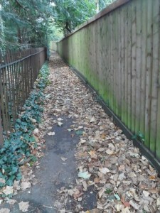 st johns path without railings_tn